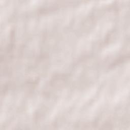 Mount Pearl Terrain Map