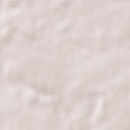 Saint-Antoine-du-Rocher Terrain Map