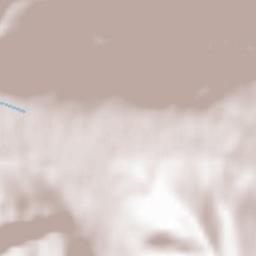 Tannheim Terrain Map