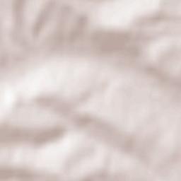 Tămășești Terrain Map