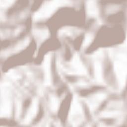 Comuna Coaş Terrain Map