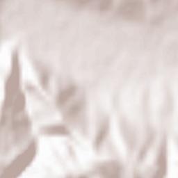 Copalnic Mănăştur Terrain Map