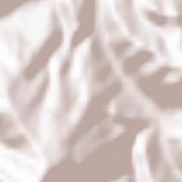 Pojorâta Terrain Map