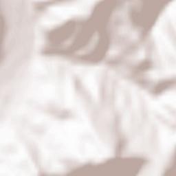 Oraş Frasin Terrain Map