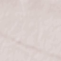 Brăiești Terrain Map