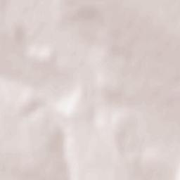 Prăjeni Terrain Map