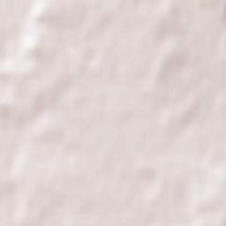 Saint-Bruno-de-Guigues Terrain Map