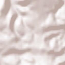 Wölflinswil Terrain Map