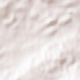 Waldkirch Terrain Map