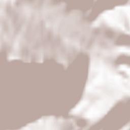 Nesselwängle Terrain Map