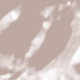 Werfenweng Terrain Map