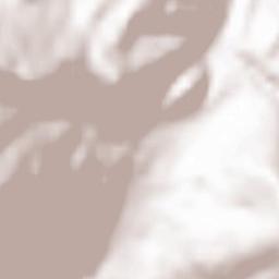 St. Martin of Tennengebirge Terrain Map