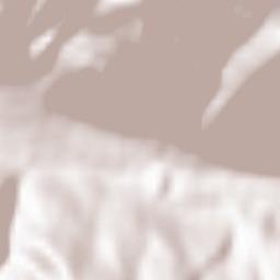 Treglwang Terrain Map