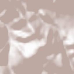 Parschlug Terrain Map