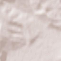 Târgu Lăpuş Terrain Map