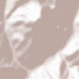 Telcișor Terrain Map