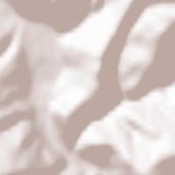 Ciocănești Terrain Map