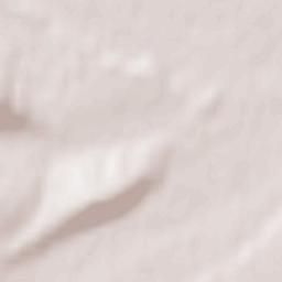 Valea Moldovei Terrain Map