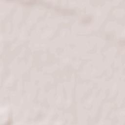 Băișești Terrain Map