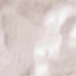 Rădăşeni Terrain Map