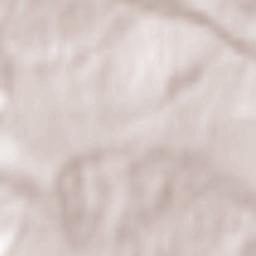 Comuna Deleni Terrain Map