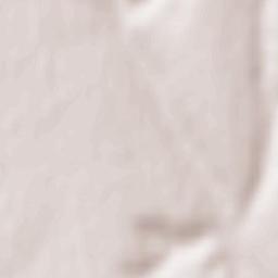 Mykolayivs’kyy Rayon Terrain Map