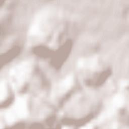 Rickenbach bei Wil Terrain Map