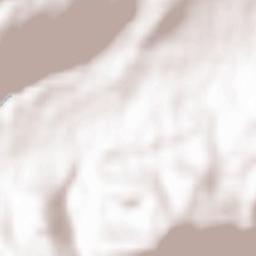 Alberschwende Terrain Map