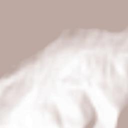 Brixen im Thale Terrain Map