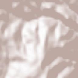 Fischbach Terrain Map