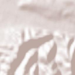 Dămăcușeni Terrain Map