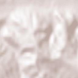 Preuteşti Terrain Map