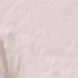 Dolhasca Terrain Map