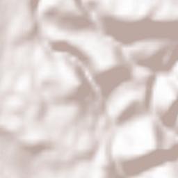 Himmelried Terrain Map