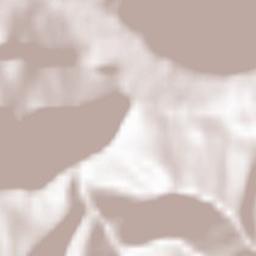 Bichlbach Terrain Map