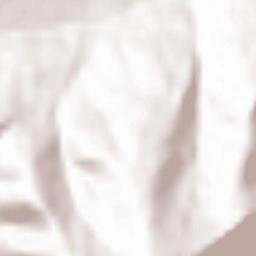 Michaelerberg Terrain Map