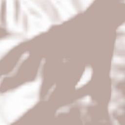 Judendorf Terrain Map