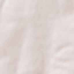 Buduslău Terrain Map