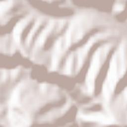 Bichigiu Terrain Map