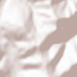 Comuna Ostra Terrain Map