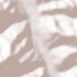 Negrileasa Terrain Map