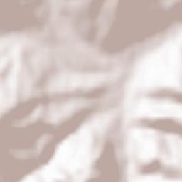 Găinești Terrain Map