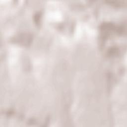 Dumbrăvița Terrain Map