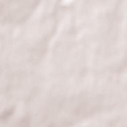 La Chapelle-Launay Terrain Map