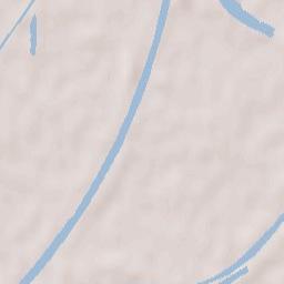 Diepoldsau Terrain Map