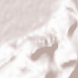 Politischer Bezirk Dornbirn Terrain Map