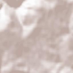 Mesteacăn Terrain Map