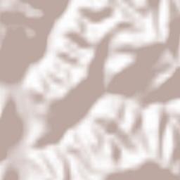 Târlişua Terrain Map