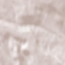 Poiana Mărului Terrain Map