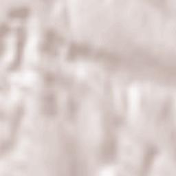 Coarnele Caprei Terrain Map